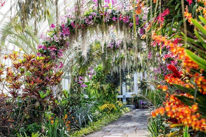 Singapore Botanic Gardens